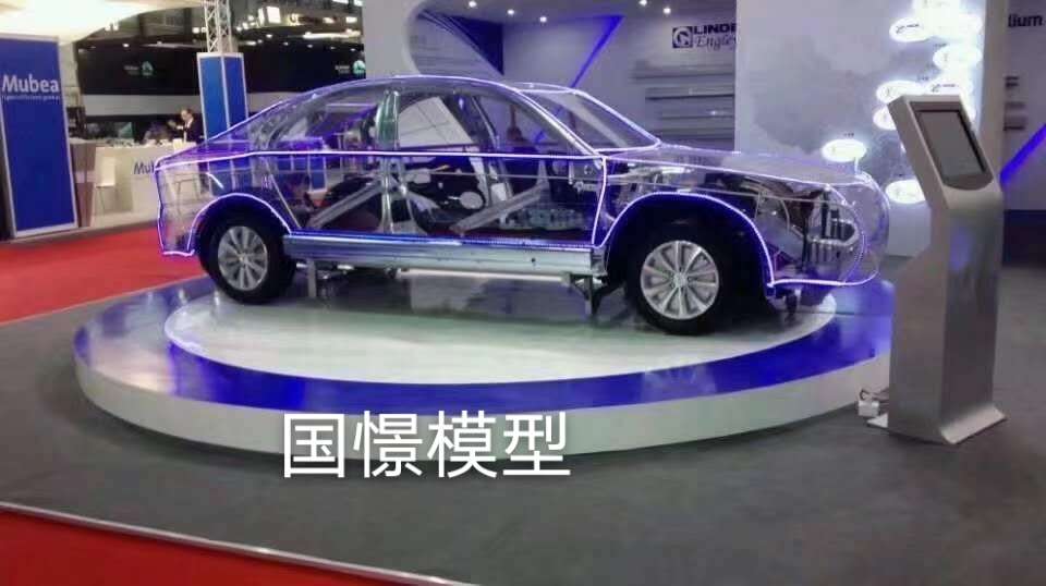 楚雄透明车模型